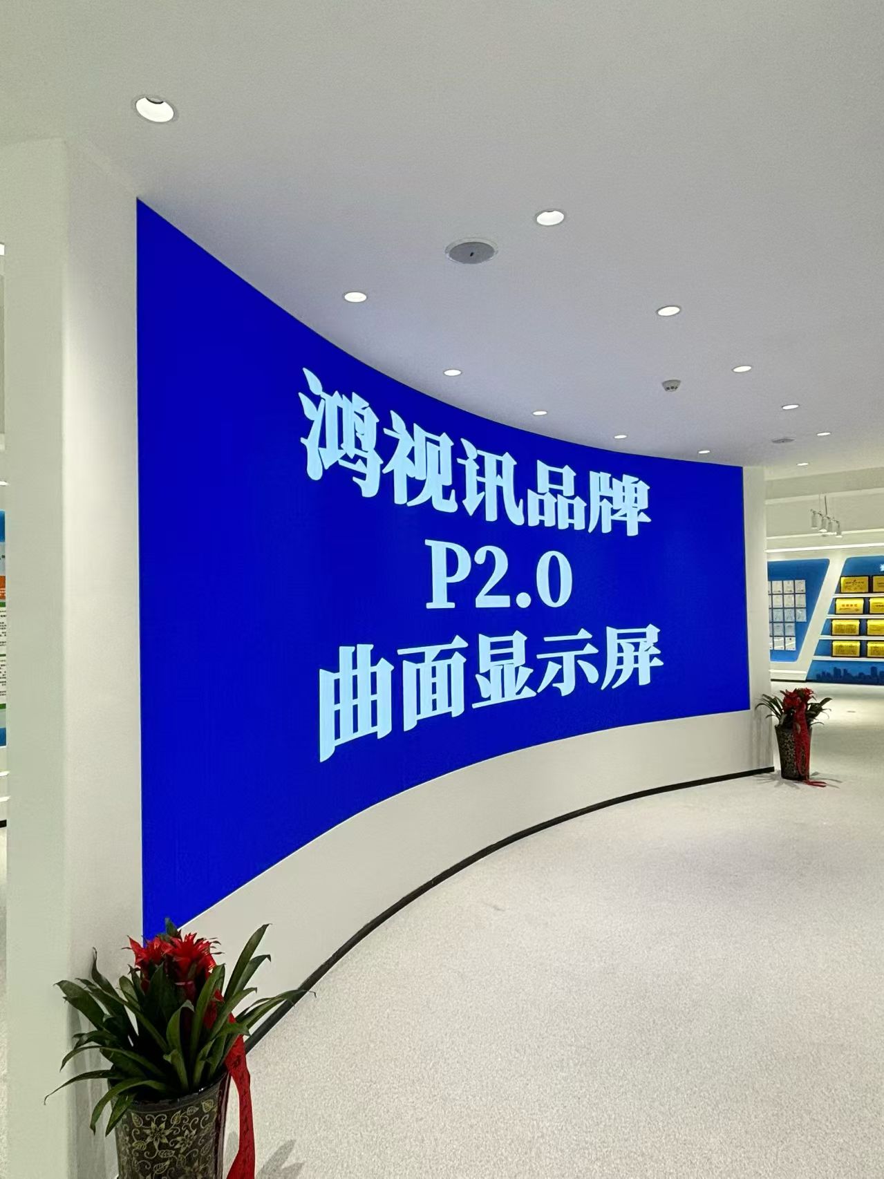 鸿视讯科技芜湖线上分站